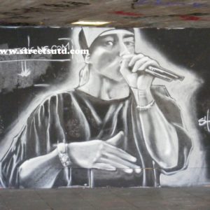 professionals Artist graffiti