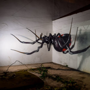 3D Spider street art