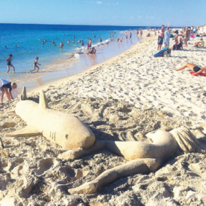 Sand Sculpture Entertainer